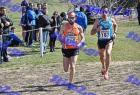 2012cross_518