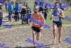 2012cross_519