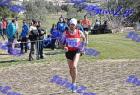 2012cross_520
