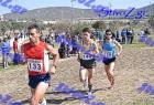 2012cross_523