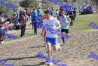 2012cross_525