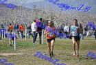 2012cross_527