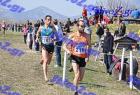 2012cross_530