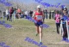 2012cross_531