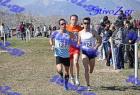 2012cross_535