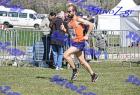2012cross_536