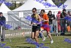 2012cross_540