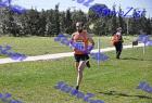 2012cross_541