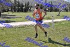 2012cross_542