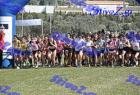 2012cross_608