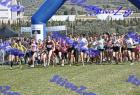 2012cross_609