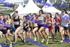 2012cross_611