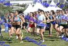 2012cross_612