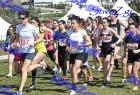 2012cross_613