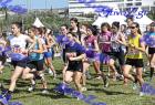 2012cross_614