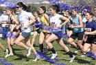 2012cross_615