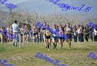 2012cross_623