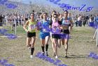 2012cross_625