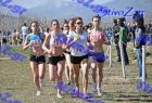 2012cross_630