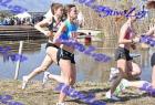 2012cross_634