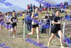 2012cross_638