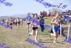 2012cross_643