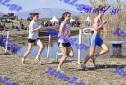 2012cross_645