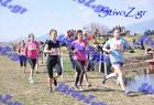 2012cross_651
