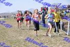2012cross_652