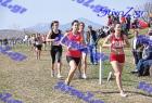 2012cross_653