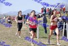 2012cross_654