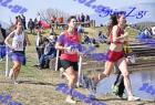 2012cross_655
