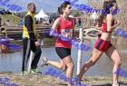 2012cross_656