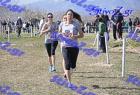 2012cross_659