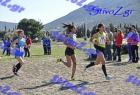 2012cross_663