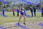 2012cross_665