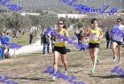 2012cross_667