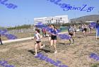 2012cross_669