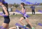 2012cross_671