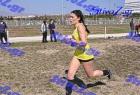 2012cross_674