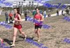 2012cross_680
