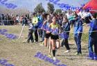 2012cross_681