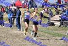 2012cross_682