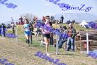 2012cross_683