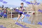 2012cross_684