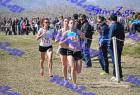 2012cross_689