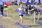 2012cross_700