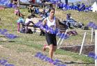 2012cross_703