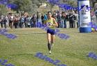 2012cross_704