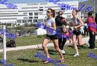 2012cross_712